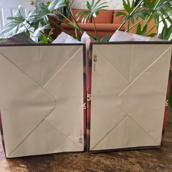 2012 Hollister Male Model Swimsuit Shopping Bags Set of 2 - Picture 9 of 12